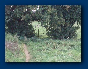 Coming back from statiion B